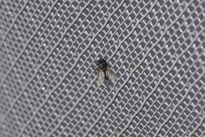 plastic wire mesh manufacturers in kolkata