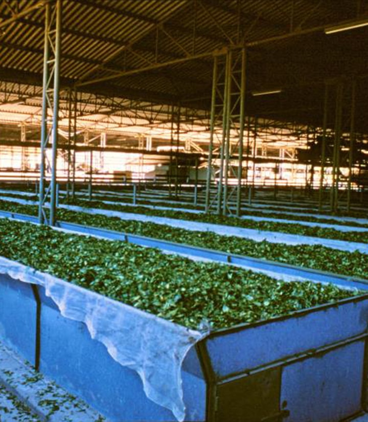 Stainless Steel Welded Wire Mesh in Kolkata